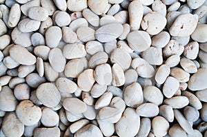Many of small white stones texture