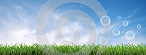 Many soap bubbles landing on the green lawn with a cloudy blue panoramic sky background.