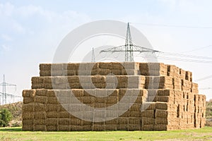 Many stacked hay bales on a field