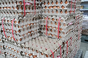 Many stacks of rows and paper packaging for chicken eggs, stacked in a store, brought from poultry farms in rural areas for sale