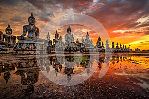 Many Statue buddha image at sunset in southen of Thailand