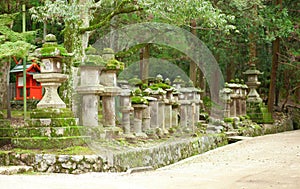 Many stone lanterns in Kasuga shrine in Nara