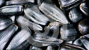 Many sunflower seeds. Sunflower seeds after harvest. Slow motion. Sunflower seeds are spinning.