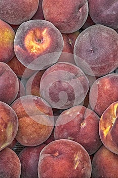 Many sweet peach fruits background.