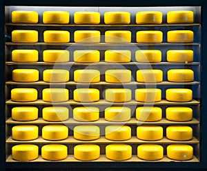 Many swiss yellow cheese heads on shelves of a show-window under transparent glass in store shop gastronome