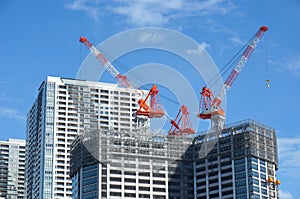 Many tall buildings under construction and cranes under a blue sky