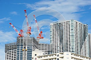 Many tall buildings under construction and cranes under a blue sky