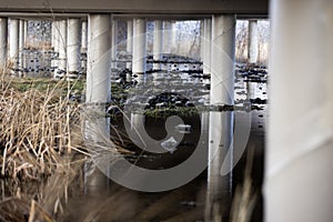 Many tall concrete columns reflected underneath an overpass with dead grass, swamp and flowing water nature conservancy photo