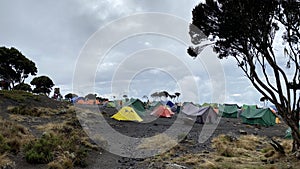 Many tents are in the campground. Shira Cave Camp. Mountain landscape. Climbing Kilimanjaro, Africa