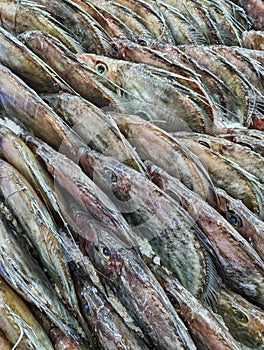 Many Tightly Packed Fresh Whole Fish, Sydney, Australia