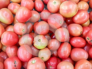 Many tomato red ball,Photo closeup many clean organic fresh tasty ripe red tomatoes crop fruit full of vitamin for healthy eating