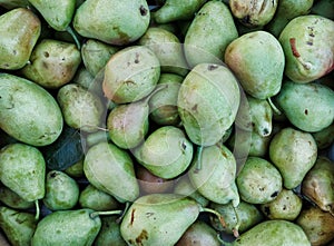 Many `Ugly Fruit` Green Pears For Sale at Open Air Market