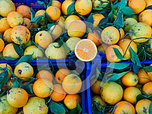 Many Ugly Oranges in Plastic Crates at Fresh Fruit and Vegetable Market