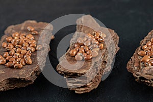 Many of uncooked brown kidney beans on a dark background