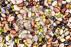 Various Varieties of Beans and Legumes, Background photo