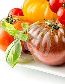 Many varieties of colorful tomatos