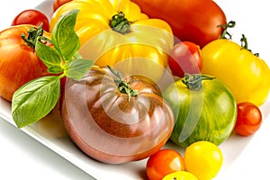 Many varieties of colorful tomatos