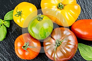 Many varieties of colorful tomatos