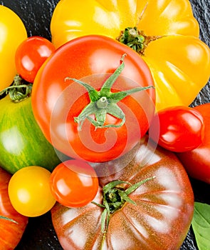 Many varieties of colorful tomatos