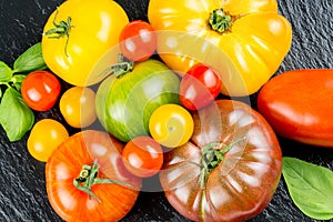 Many varieties of colorful tomatos