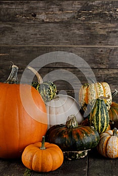 Many various pumpkins