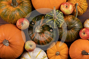 Many various pumpkins background