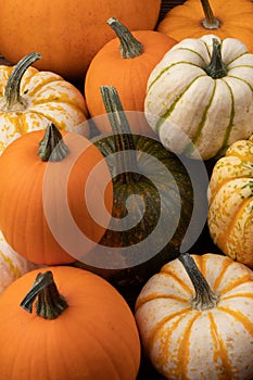 Many various pumpkins background