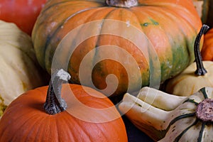 Many various pumpkins background