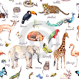 Many various wild animals, birds - zoo, wildlife elefant, giraffe, red panda, cheetah, flamingo, snake, parrot and other