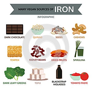 Many vegan sources of iron, food info graphic, vector