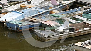 Many vintage old boats stand on the dock on river