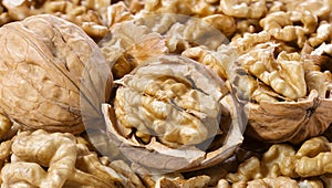 Many walnuts shelled and in-shell macro