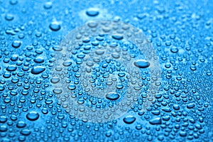 Many water drops on dark dusty blue background, closeup