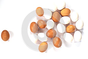 Many white and brown chicken eggs in a row isolated against a white background