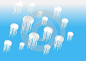 Many white jellyfish on blue sea background