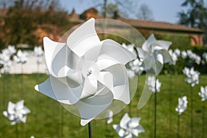 Many white windmills in green grass field