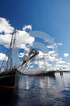 Many white yachts at the pier against the blue sky