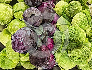 Many Whole Cabbages For Sale in Shop photo