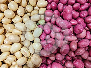 Many Whole washed Potatoes For sale in Shop