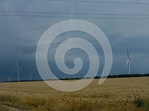 Many wind turbines are installed in the background of a wheat field against a cloudy sky. Renewable energy and nature conservation