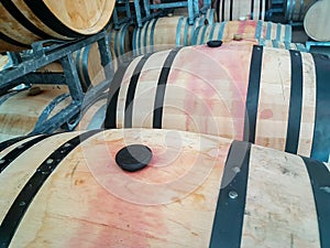 Many wine barrels in a cellar