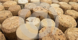 Many wine corks standing on edge. Close up, shallow depth of field.