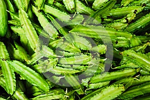 Many of winged bean in fresh market