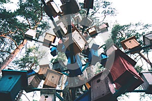 Many wooden birdhouses on the tree