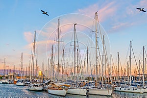 Many yachts in the Port of Barcelona at sunset, Spain