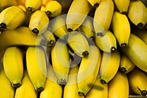 Many yellow bananas