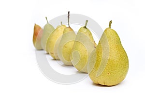 Many yellow pears in row