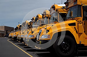 Many yellow school buses in a row in a parking lot of Cocalico high school