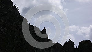 Many young ibex or alpine mountain goat standing in silhouette on a jagged mountain ridge