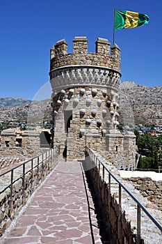 Manzanares el Real Castle (Vertical) photo